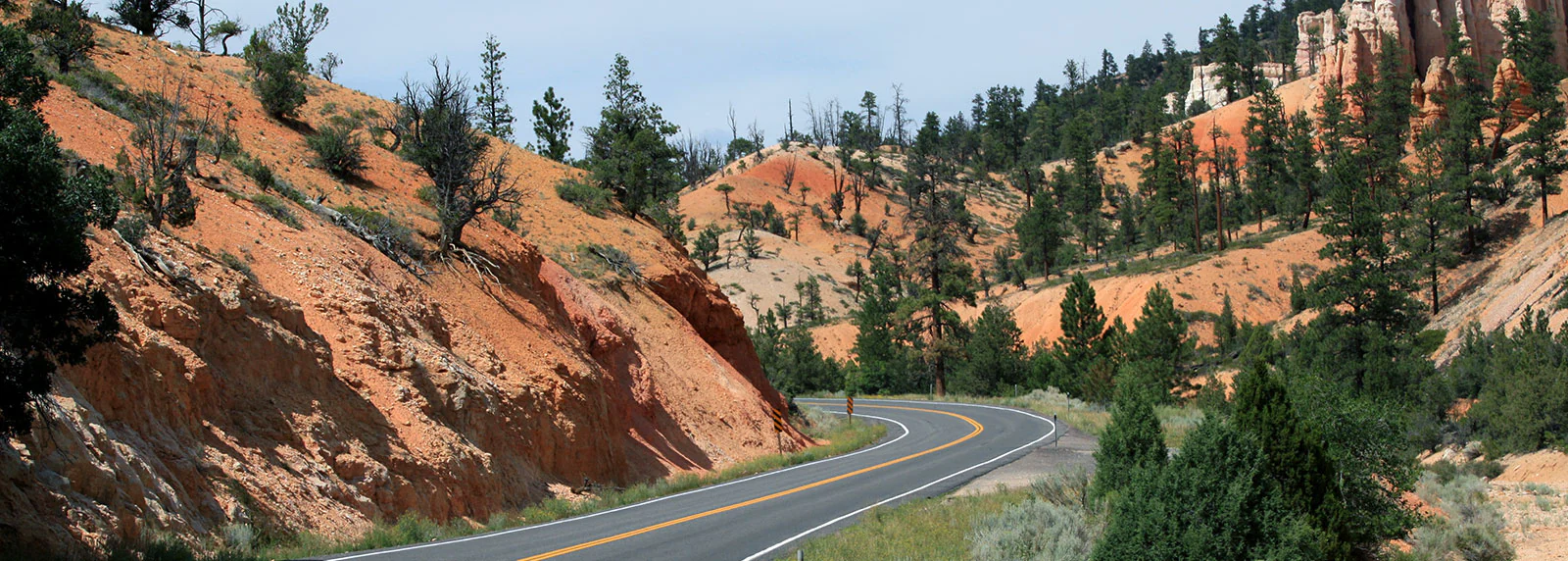 Winding road curves through red rock canyon with scattered trees and cliffs