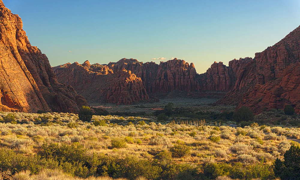 Red rock formations and dry grasses in a desert landscape