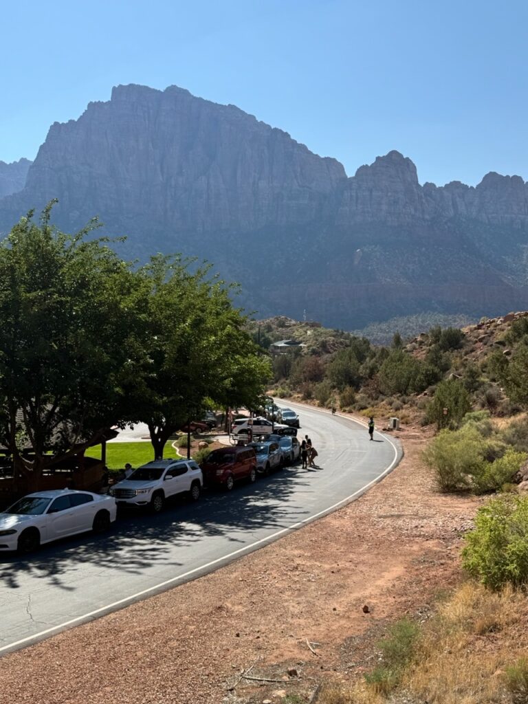 Lion Boulevard with parking enforcement officers directing traffic and cars to park.