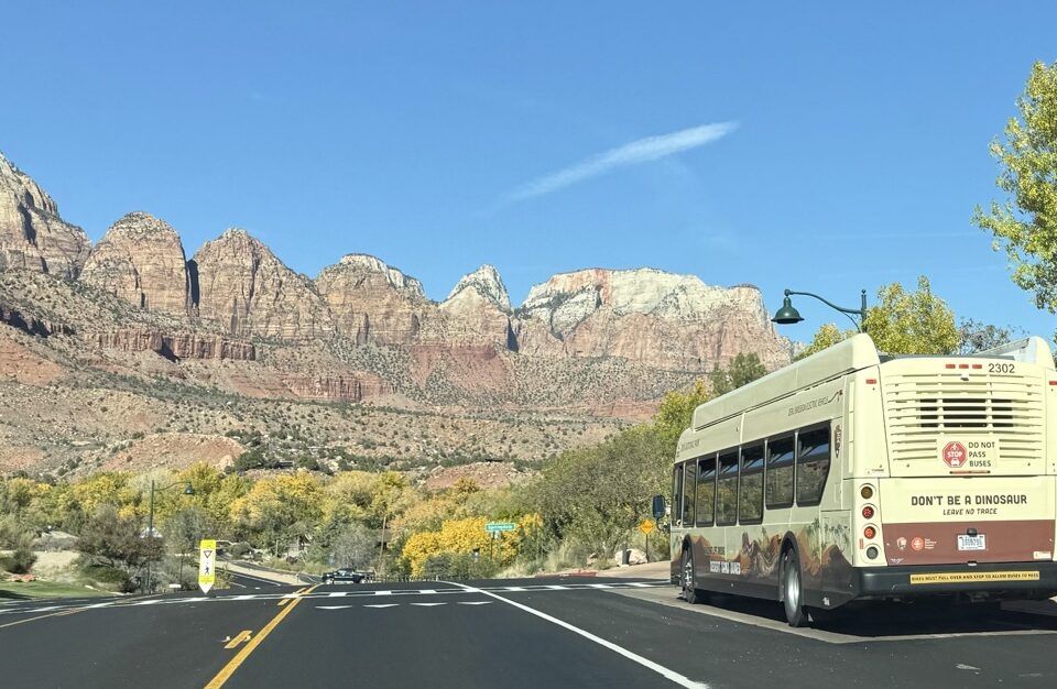 A NPS shuttle bus drives down SR-9 or Zion Park Boulevard in the Town of Springdale and the colors of the trees have changed to yellow.